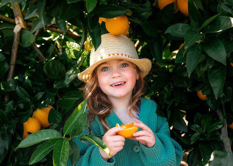 Melbourne's Yarra Valley Orchard Tour uabv0j3b