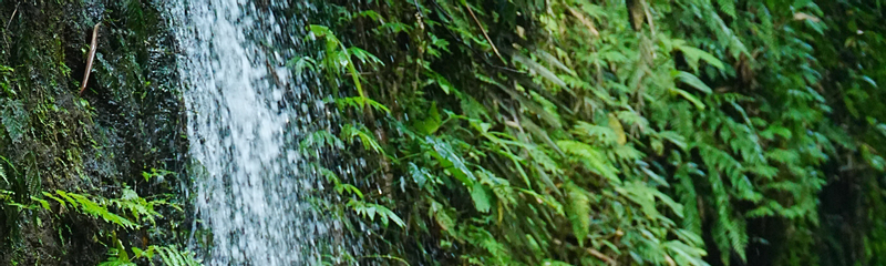 Ubud ATV Quad Bike Through Barong Cave at Dadi Bali Adventure fzfRjNCp