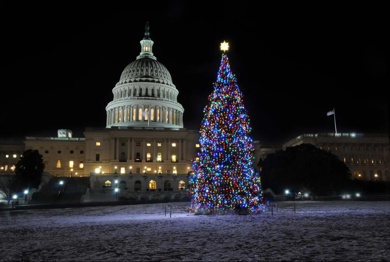 Washington DC Holiday Lights Tour DuUnu2BJ