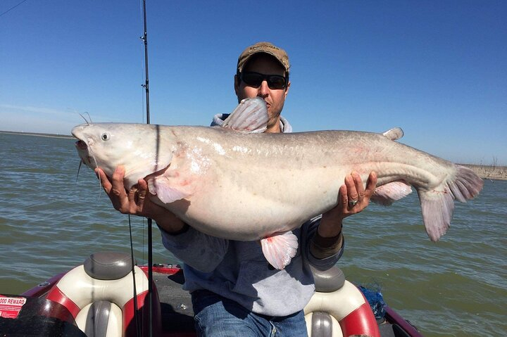 5-Hour Private Catfish Fishing Tour  lNqSzN7g