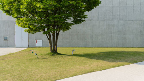 Chengdu Jinsha Site Museum & Kuanzhai Alley Private Car Day Tour g3EEQ1O6