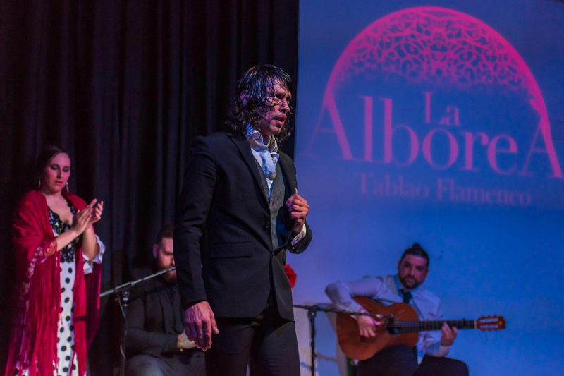 Flamenco show ticket at Tablao La Alborea Granada in Granada vVUmyrlQ