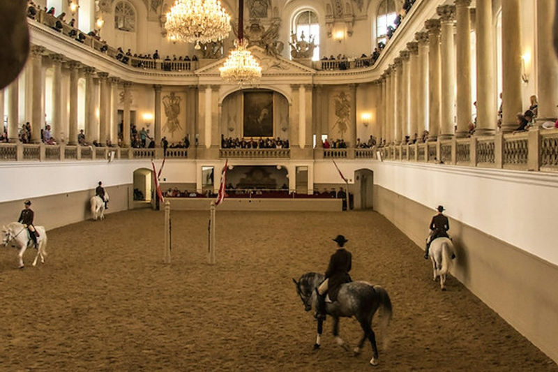 Spanish Riding School Horse Training Session in Vienna 3uGrpccj