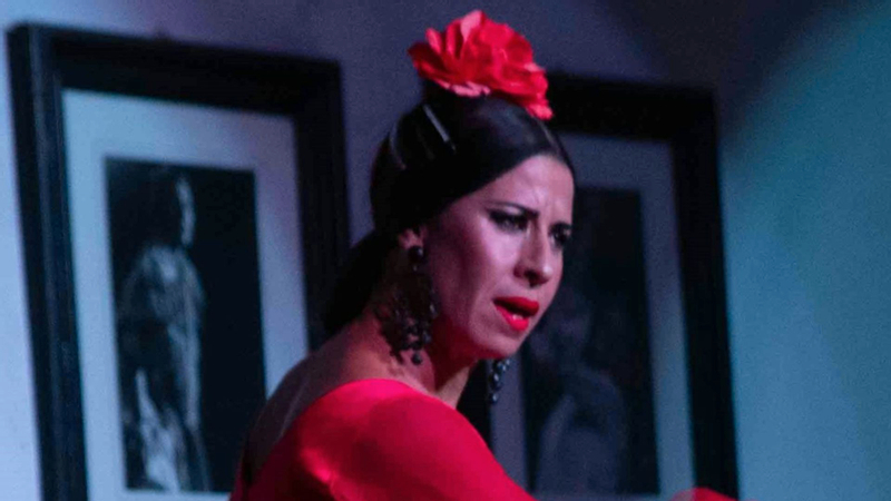 Flamenco Show Ticket in Cordoba XXYriS5T