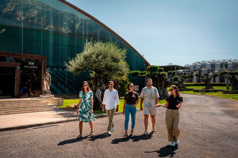 Winery Visit & Setubal Fish Market Tour with Tasting from Lisbon 8LTUcCTZ