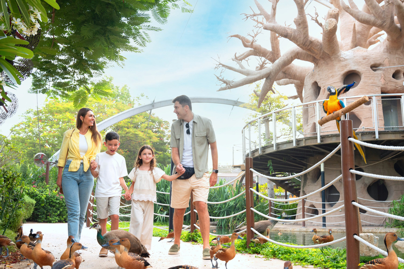 Dubai Safari Park Ticket apfQvaU0
