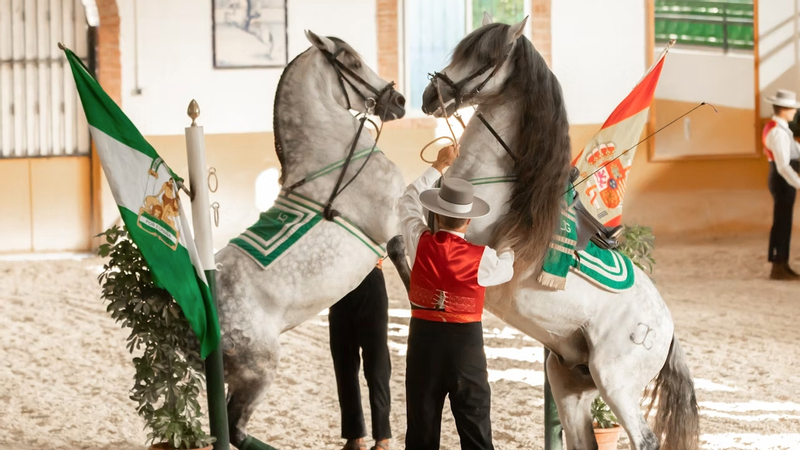 Andalusian horse and Flamenco show in Torremolinos Uua3qNCm