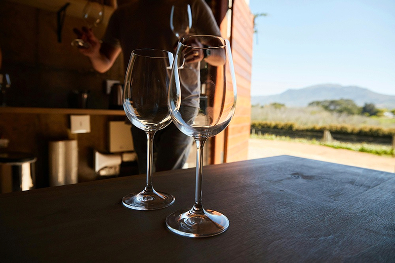 Adelaide Amadio Cellar Door Half-Day Wine Tasting Tour 4E2NzqFX