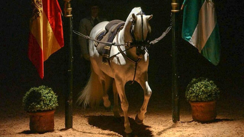 Andalusian horse show ticket in Jerez de la Frontera 2qwE8o5b