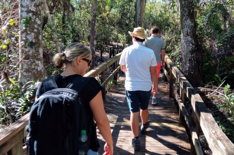 Full Day Everglades Adventure with a Wet Walk in Florida GaG3YphP