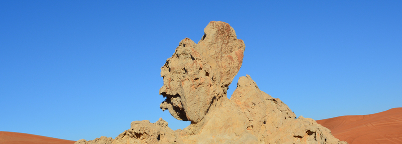 Hatta Safari with Honey Bee Garden visit BNPoDZFZ