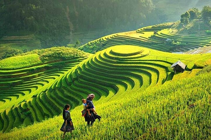 Sapa 1 Day Trekking Tours ICldEkpl