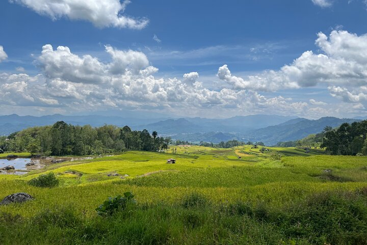 Toraja Highlight 3 Days YbDq5cjD