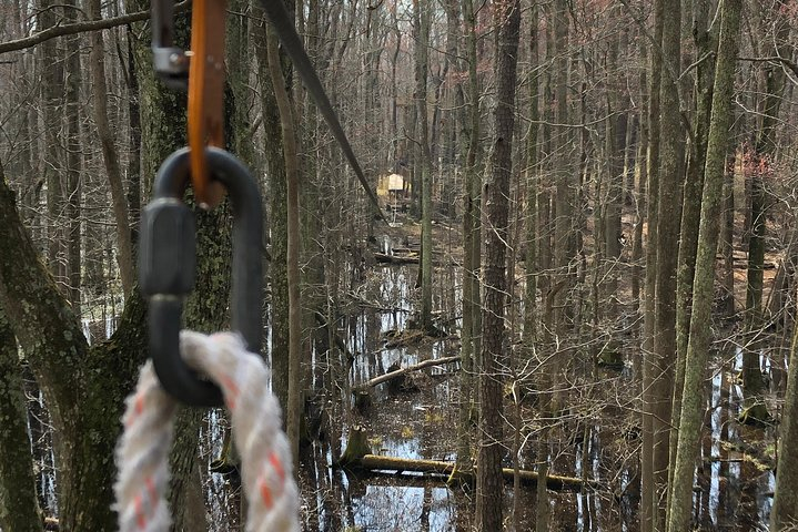 Wetland Zip Tour iCfBY5Nj