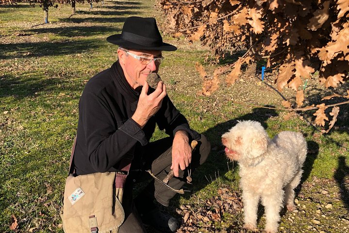 Visit truffle fields and hunt with a dog in all seasons. FgAltXb2