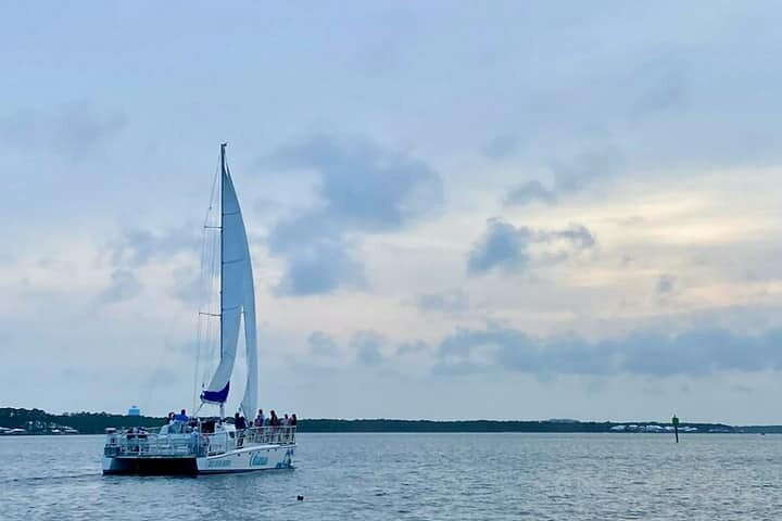 Orange Beach Dolphin Sailing Cruise aboard Catamaran 54w758S6