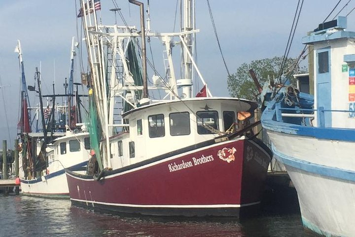 Behind the Scenes of Shem Creek Shrimp Walking Tour 76h4pVQp