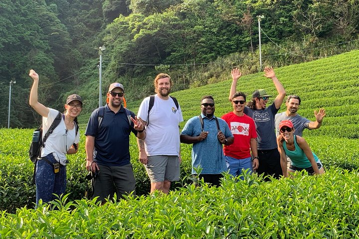 Guided Bike Tour to a Green Tea Farm in Shizuoka (not e-bikes) Fbds8XXh