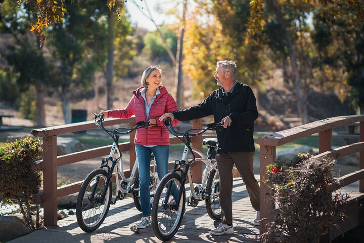 Two hour Pedego Electric Bike Rental PMibCblx
