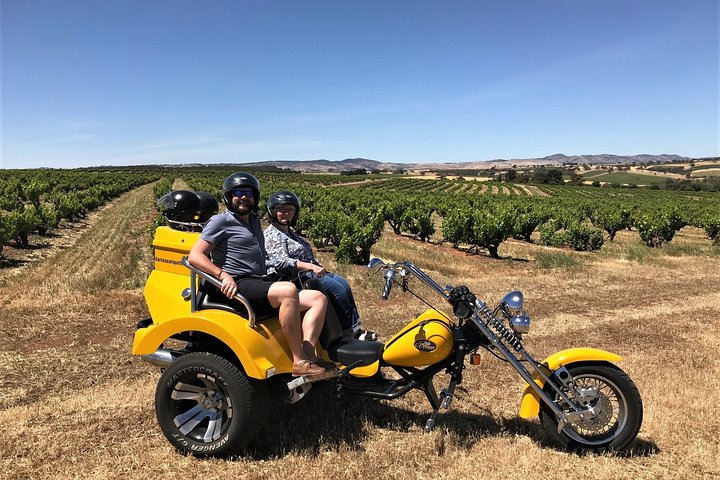 Ultimate Barossa Adventure Day Tour For 2 - Combined Mustang Convertible-Trike dRryC8yG