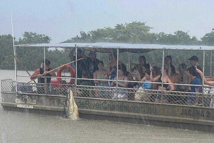The Croc Bus to the Famous Jumping Crocodile Cruise H6NXnNVG