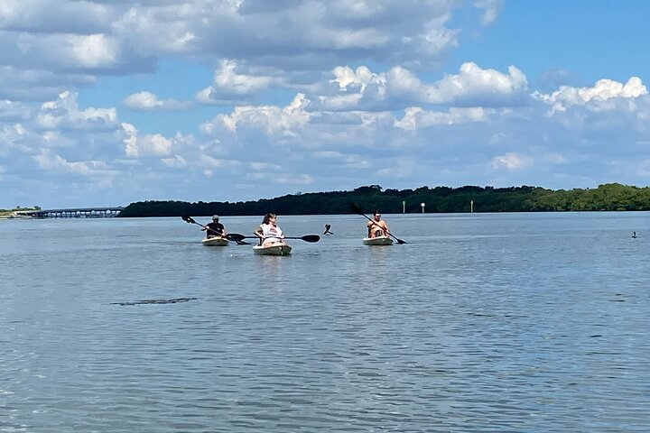 Kayak Adventure at Shell Key Preserve in Tierra Verde VS6org3S