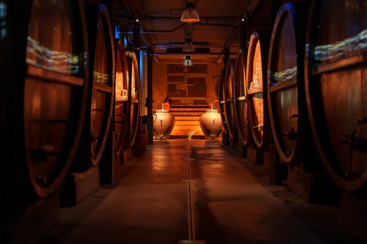 Cellar visit and 100% immersive Vegetarian meal to Strasbourg GSJi9RhA