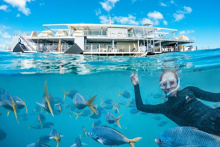 Great Barrier Reef Full Day Adventure d0Za698M