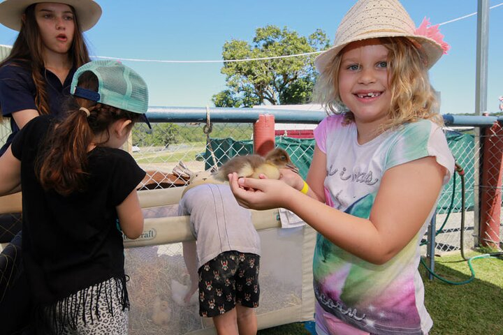 Horse and Quad bike tour with a visit to a Petting Zoo QTSsBHHF