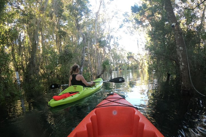 Full Day Single Kayak Rental In Crystal River HSJQLHh7