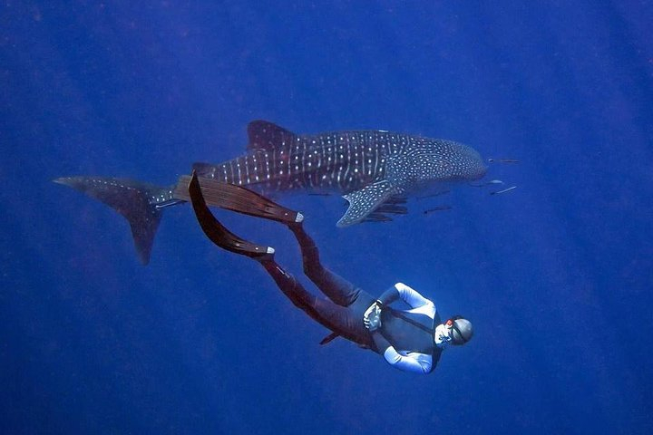 Koh Chang Freedive Trip ( Start at Koh Chang) Gxl5uint
