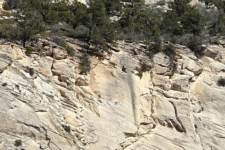 "Tallest in Utah" Via Ferrata & Rappelling (4 hr) bNzoEQrZ