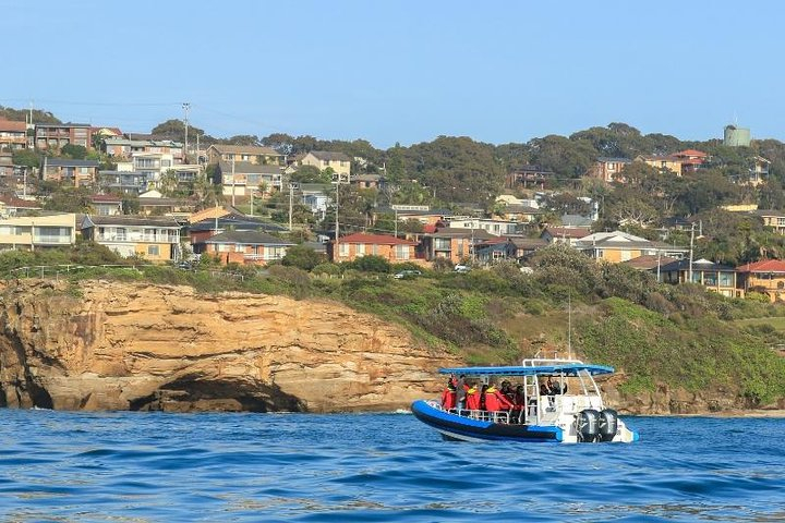Hunter Coastal Adventure Tour by Boat from Newcastle 42a0GKm0