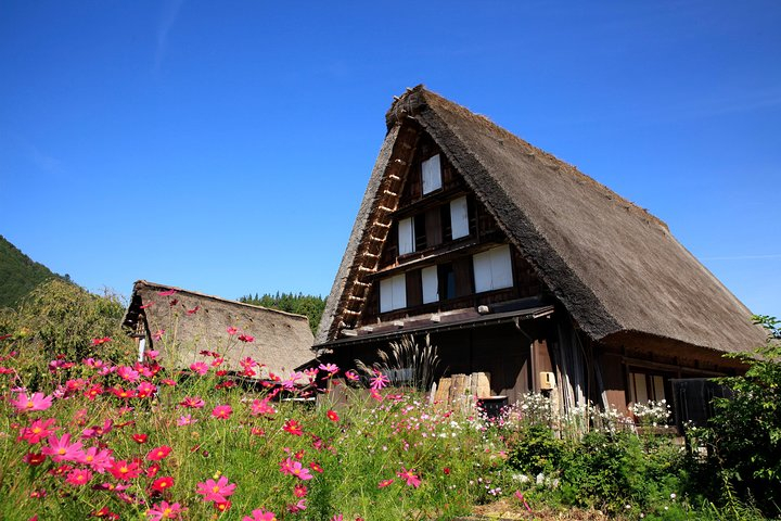 Shirakawa-go Half day tour (UNESCO World Heritage near Takayama) NgVeUH73
