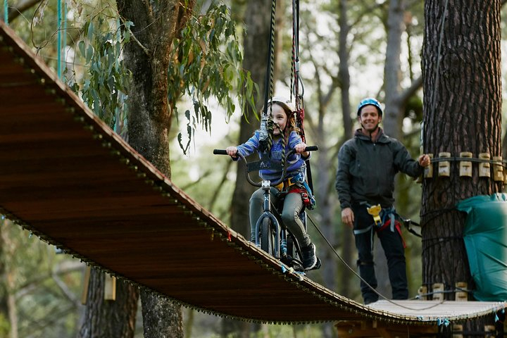 Forest Adventures 8J8IEw3X