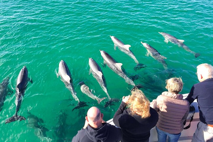 Kangaroo Island 75-Minute Coastal Safari JxvNVcno