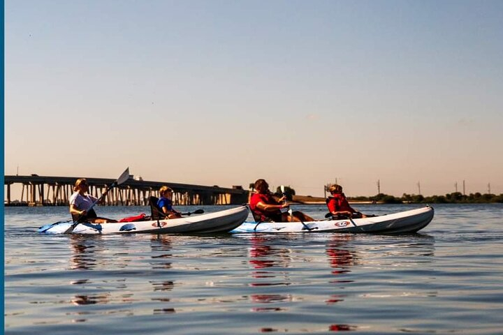 Fully Guided Kayaking Backwater Manatee and Dolphin Tour oNRmb9J9