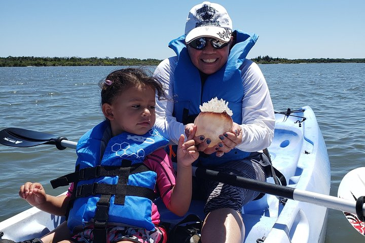 Manatee and Dolphin Kayaking | Wildlife Refuge (Titusville) ZybMkhwi