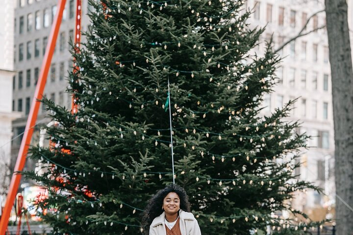 St. Louis Private Christmas Spectacular Tour oVdbNC8t