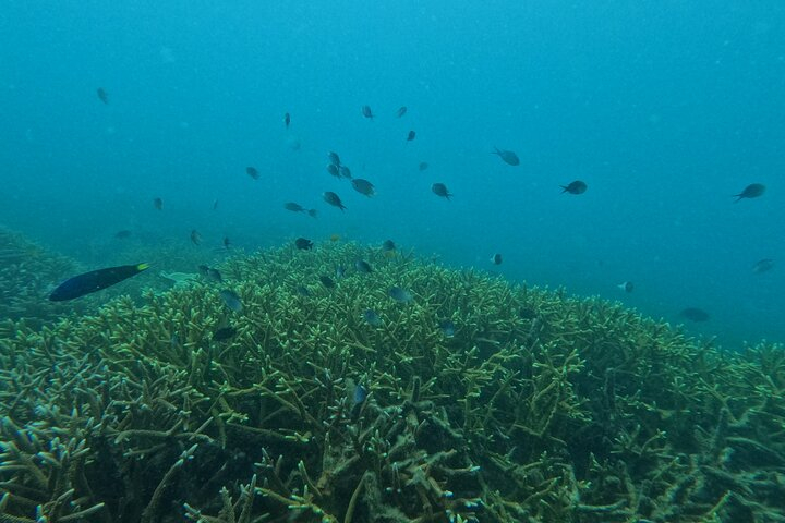 Tip of Borneo Kudat 3 Days Night Private Tour mLA2CgK8
