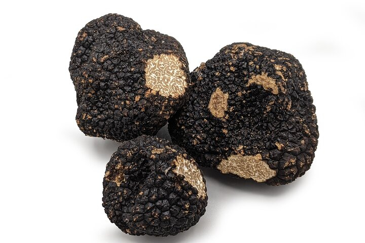 Truffle Cavage Demonstration 1c05PhMh
