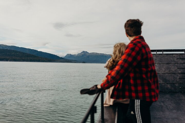 Alaska Wildlife Tour in Kachemak Bay 0fEP1gm1