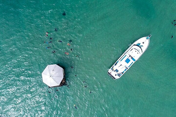 Private 2hr Charter - Mornington Peninsula EOjQs1Qo