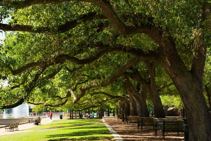 Enchanting Houston Private Tour: A Romantic Urban Adventure tYNAHd6v