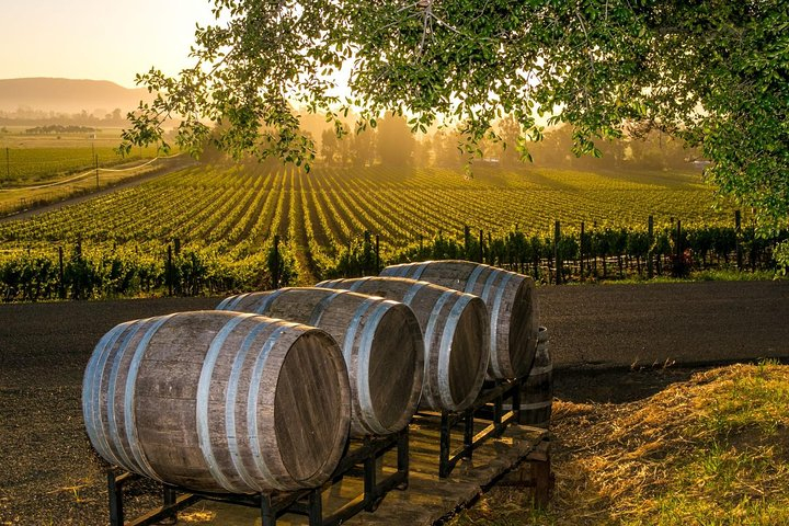 Fredericksburg Wine Tour with Three Winery Stops Plus Lunch aIxoiRfl