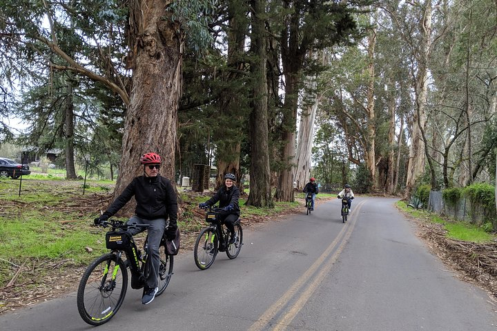 Behind-the-Scenes Food and Wine E-Bike Tour 1KphC6aX