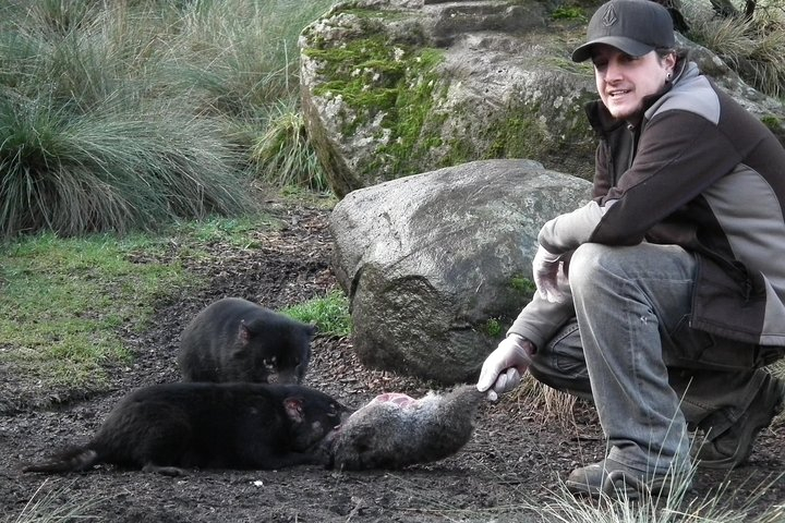 After Dark Tasmanian Devil Feeding Tour at Cradle Mountain rvZLwA4q
