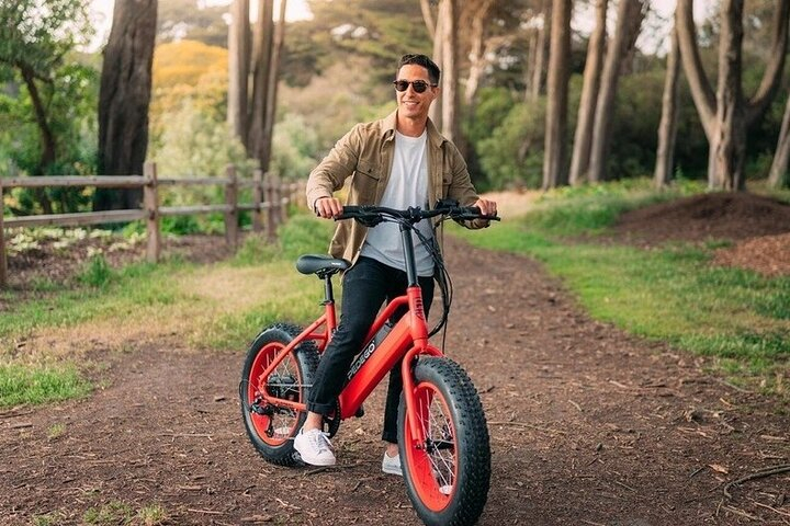Electric Bike Rentals AlP3Vf4H