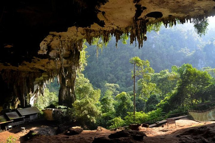 Historical Niah National Park Day Trip from Miri T2x4OM4i