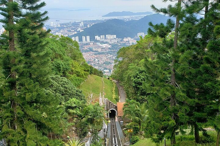 Show Wonderful of Butterflies & Botanics in Private Tour - Penang  wSqYs6Bu